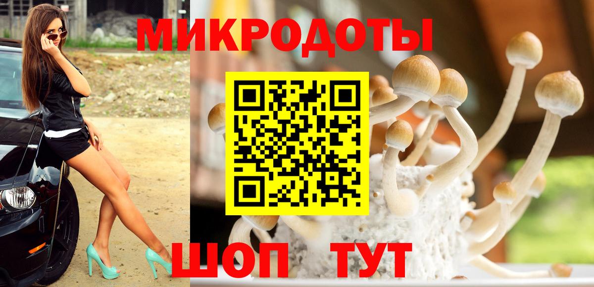 Галлюциногенные грибы ЛСД  Вход с VPN  даркнет сайт  Нижний Тагил 